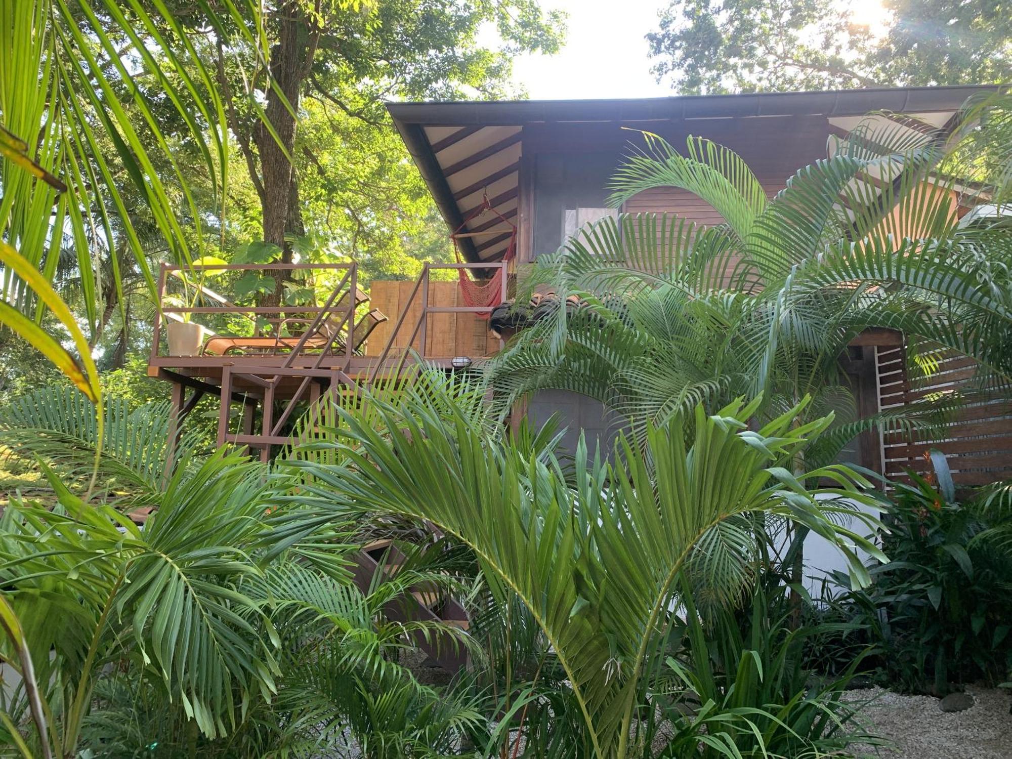 The Beach Bungalows Tamarindo- Adults Only الغرفة الصورة