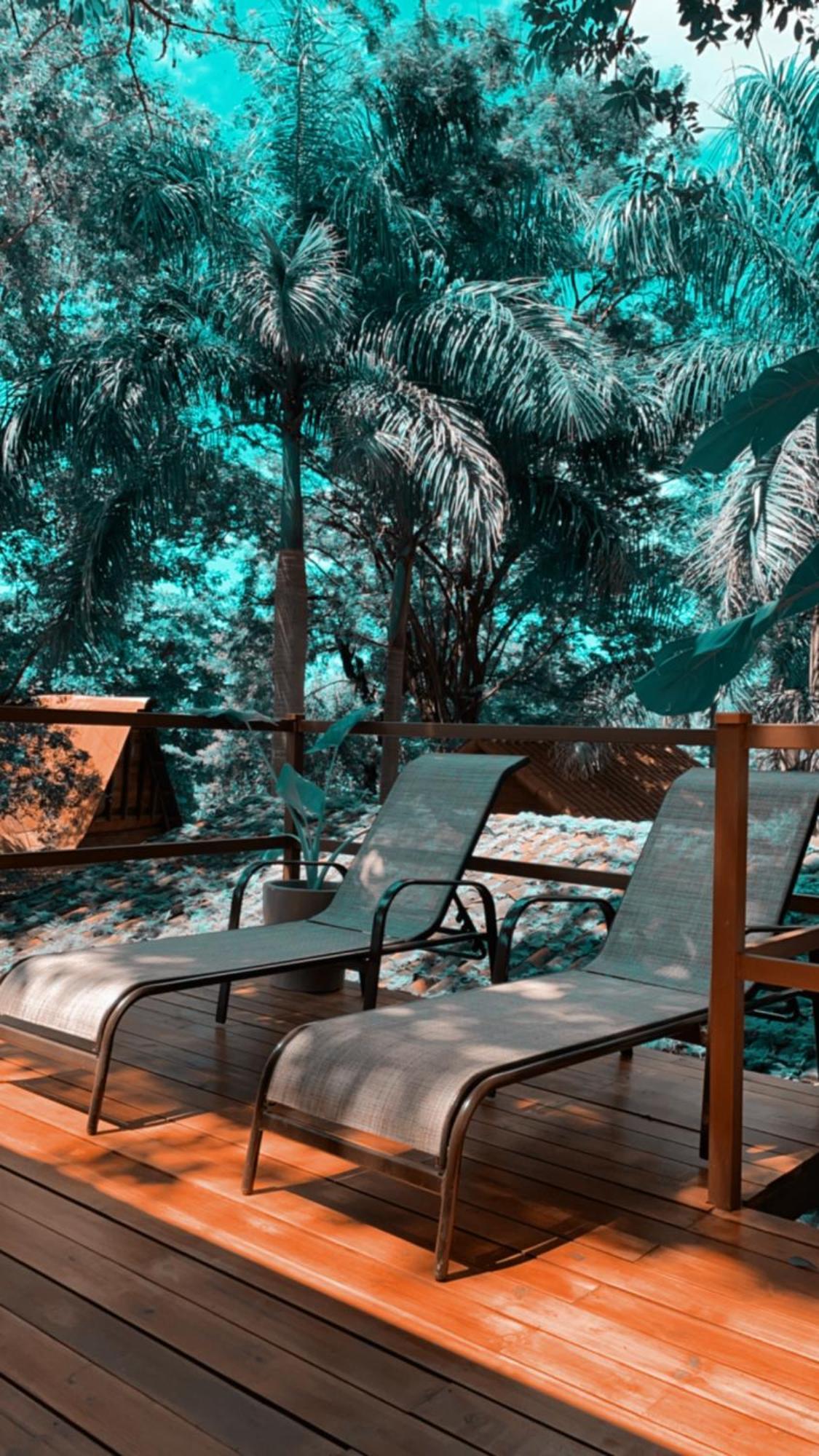 The Beach Bungalows Tamarindo- Adults Only الغرفة الصورة